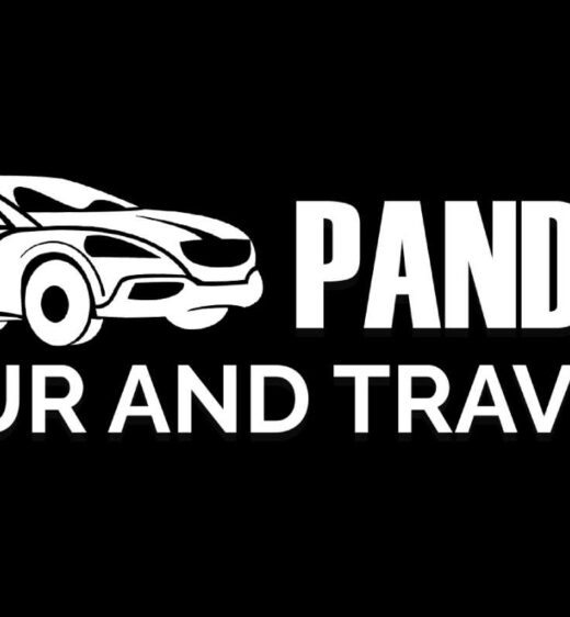 Pandyatourandtravels-logo